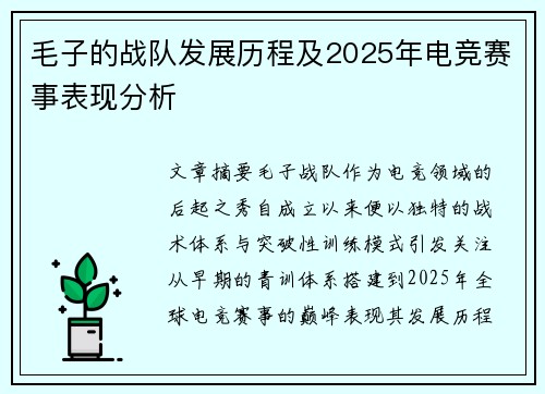 毛子的战队发展历程及2025年电竞赛事表现分析